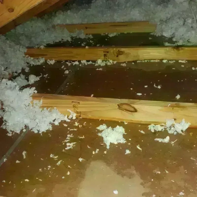 Attic Water Damage in Garden City Park, NY